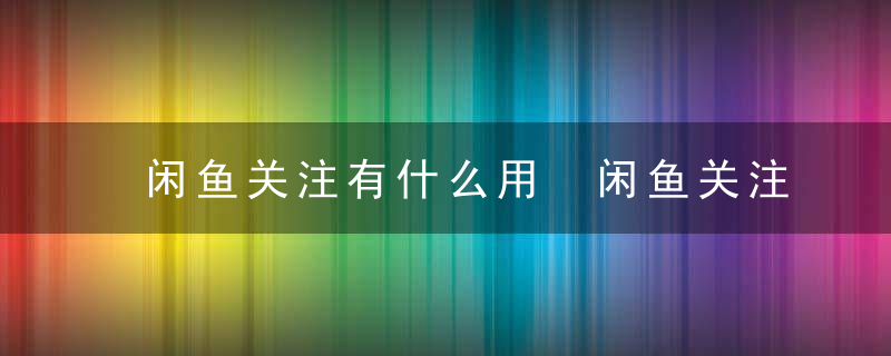 闲鱼关注有什么用 闲鱼关注的作用介绍